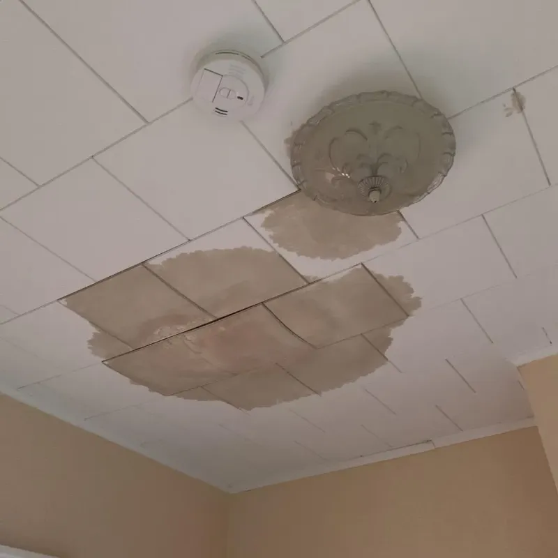 Ceiling Water Damage Repair in Upper Alton, IL