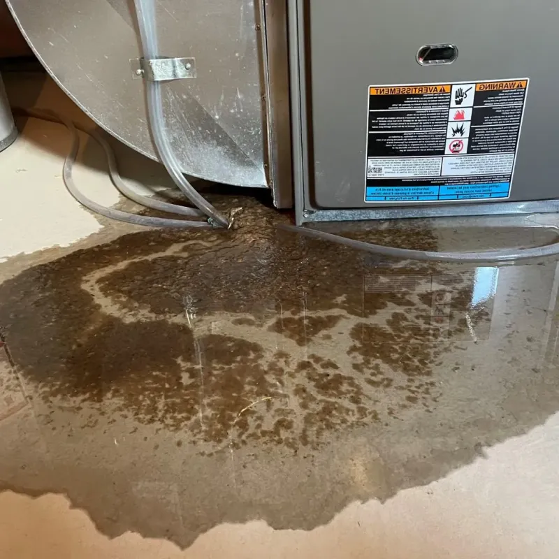 Pipe Burst and Leak Restoration in Upper Alton, IL