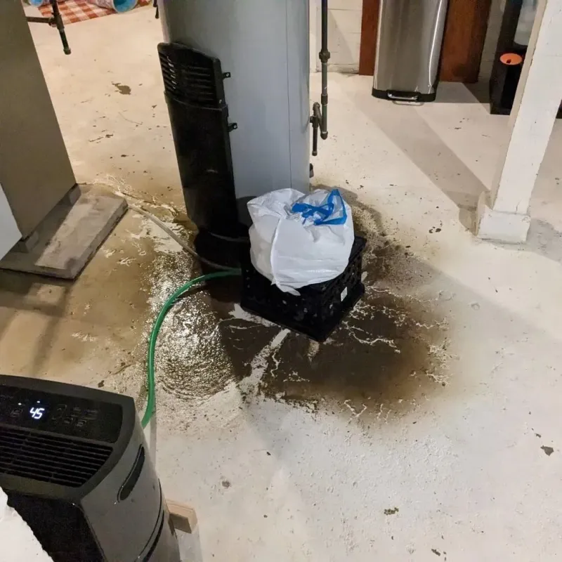 Sewage Backup Cleanup Service in Upper Alton, IL